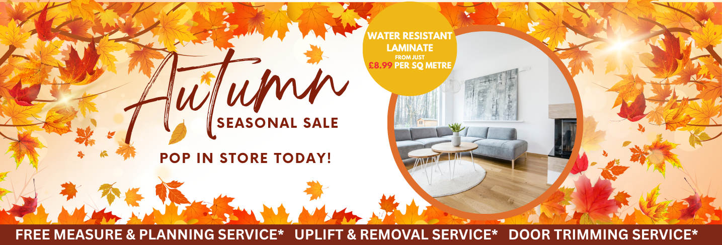 Autumn FX Desktop Banner Template 2 Floor Express