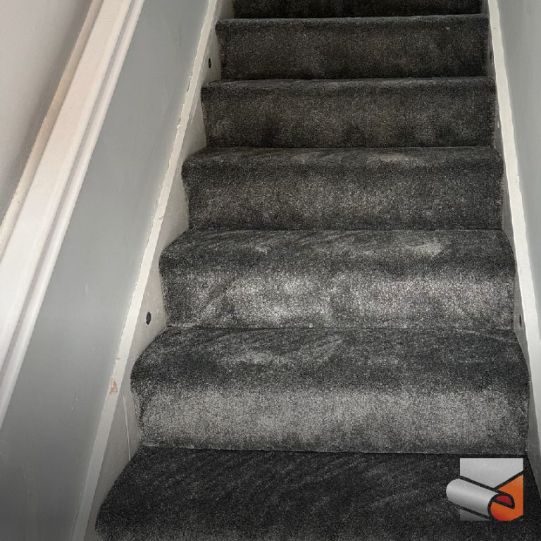 Floor Express Watermark BannersCarpet 04 Floor Express