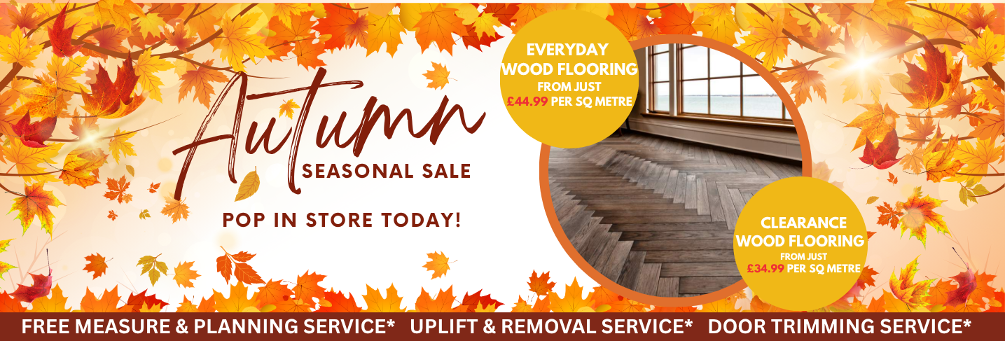 Autumn FX Desktop Banner Template 10 Floor Express