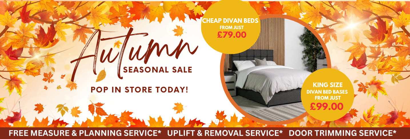 Autumn FX Desktop Banner Template 13 Floor Express