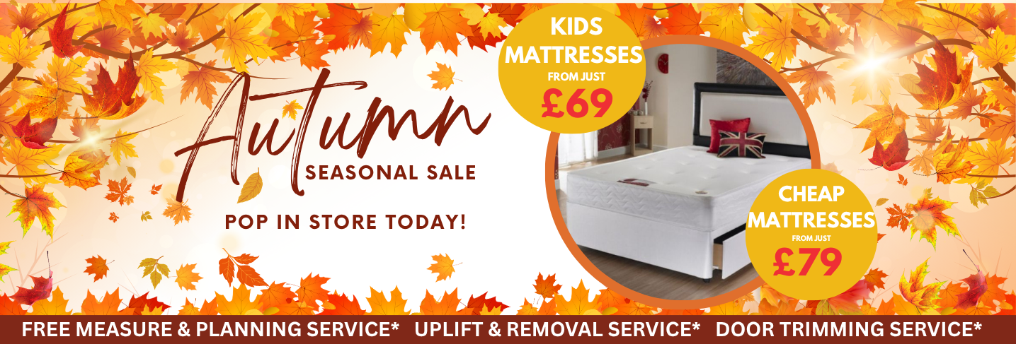 Autumn FX Desktop Banner Template 16 Floor Express