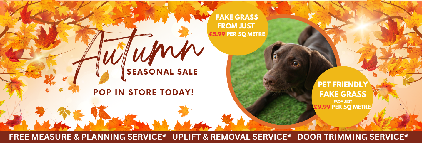 Autumn FX Desktop Banner Template 18 Floor Express