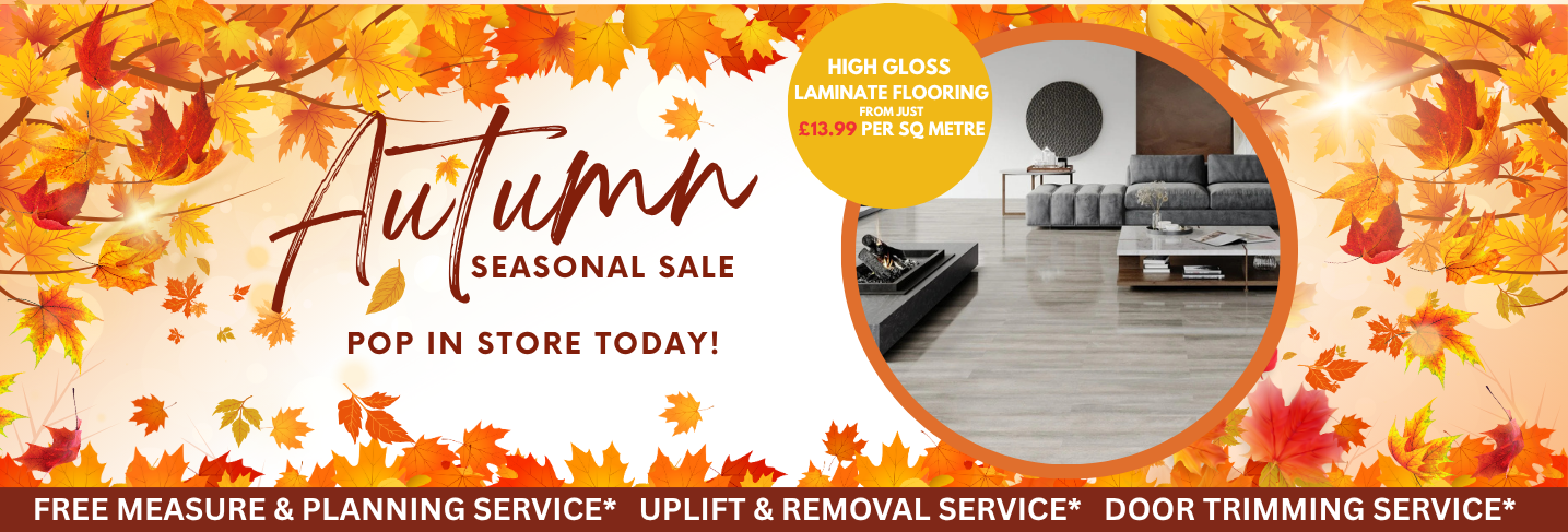 Autumn FX Desktop Banner Template 3 Floor Express