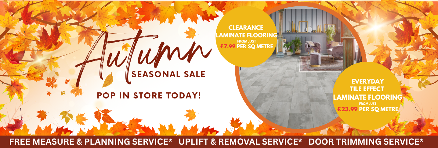 Autumn FX Desktop Banner Template 5 Floor Express