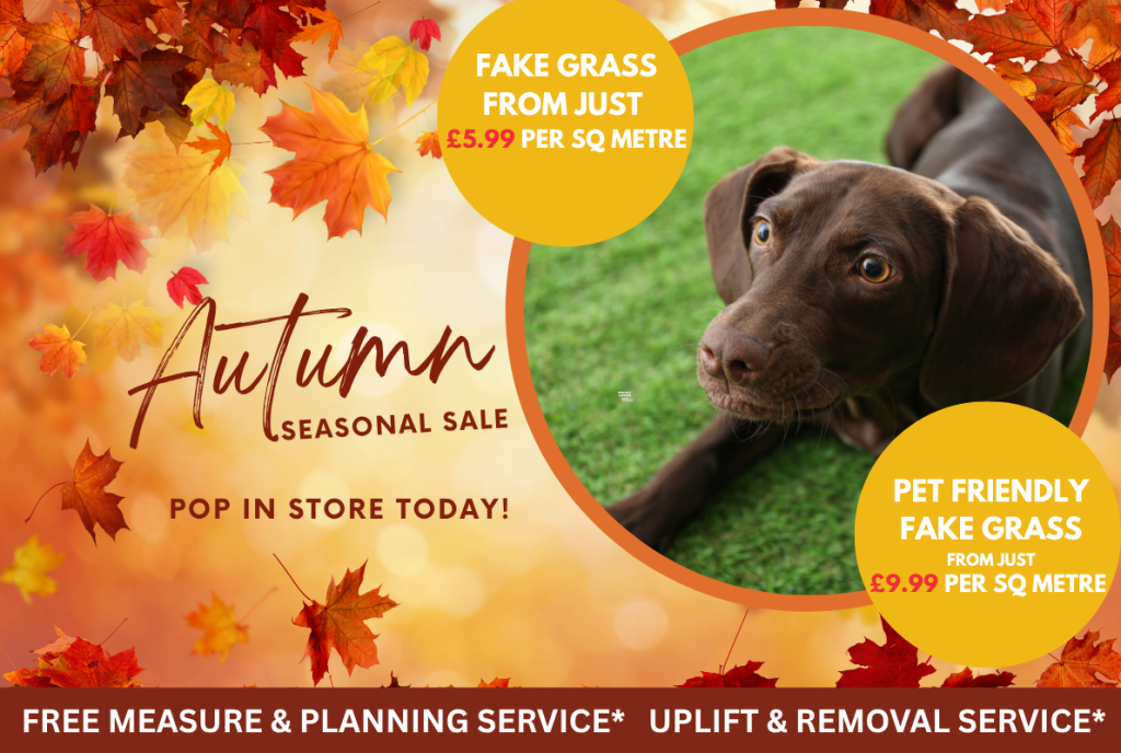 Copy of Autumn FX Mobile Banner Template 19 Floor Express