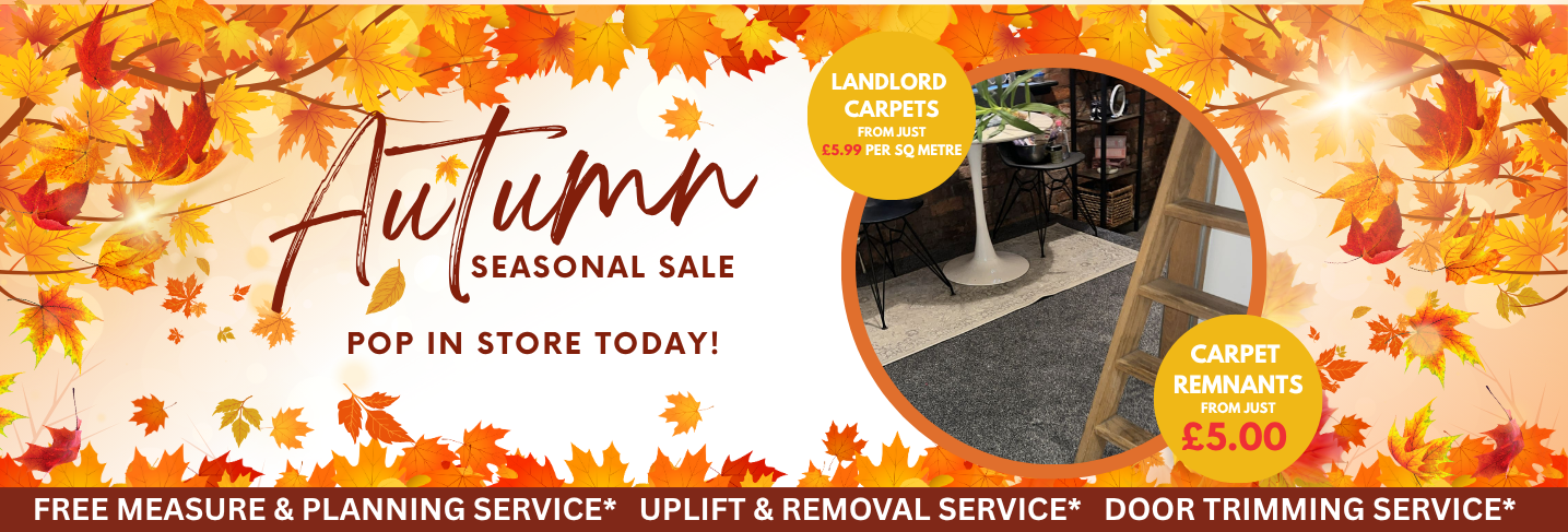 Sale Upto 50 Off 11 Floor Express