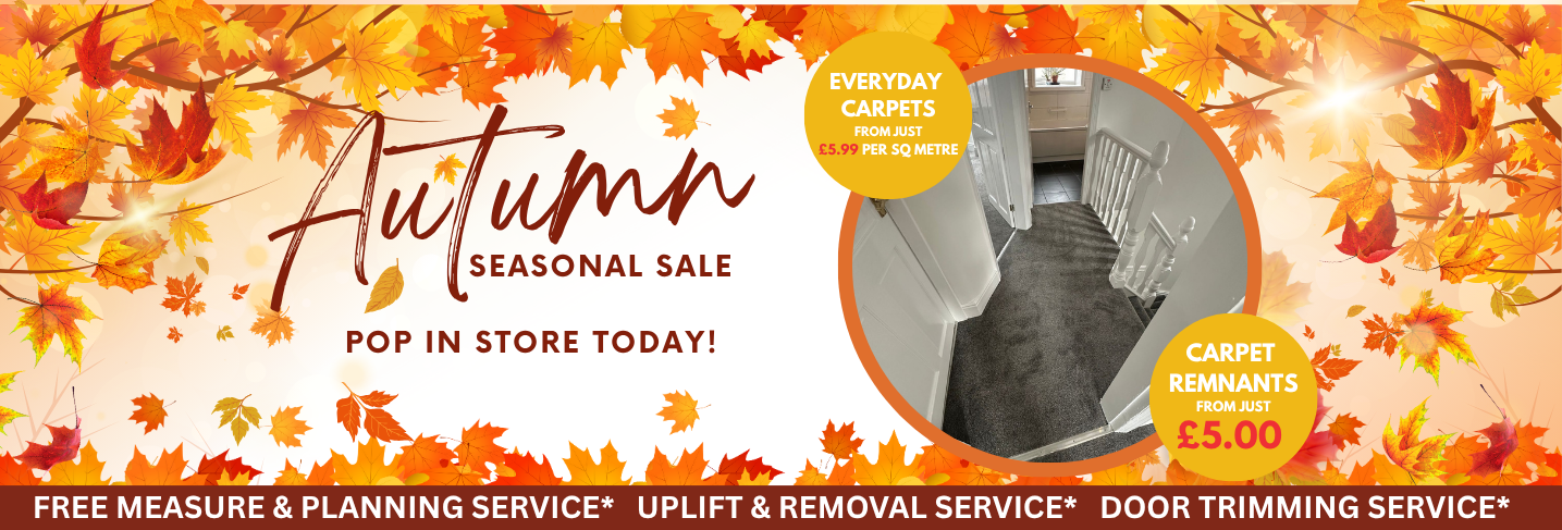 Sale Upto 50 Off 6 Floor Express