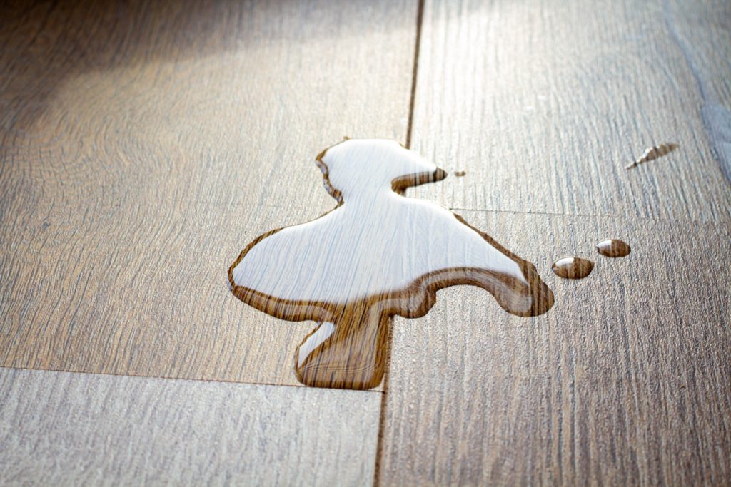 waterproof laminate flooring with a water spill on the surface Water Resistant Laminate Flooring Water spill on water-resistant laminate flooring