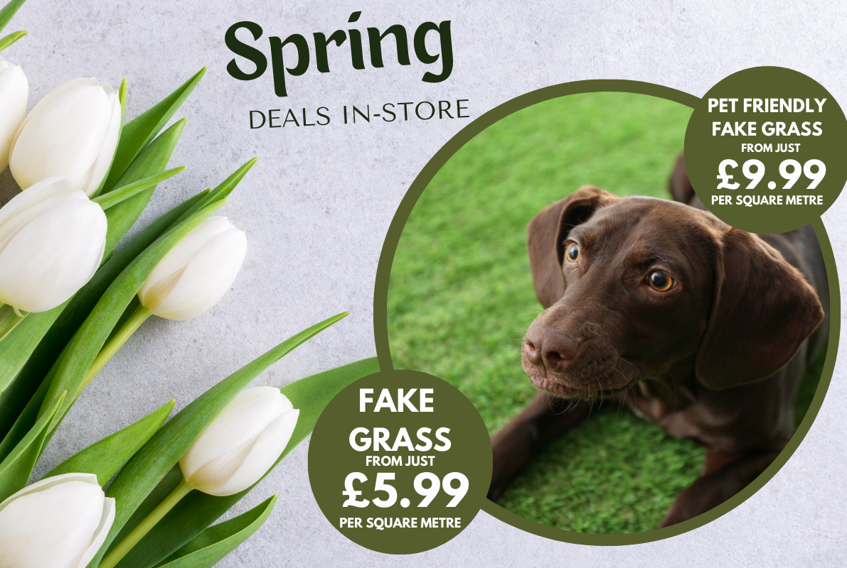 Copy of Autumn FX Desktop Banner Template 1191 x 800 px 8 Floor Express