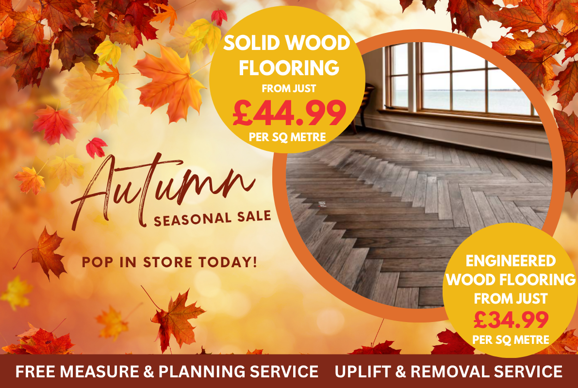 Autumn FX Mobile Banner Template 18 Floor Express