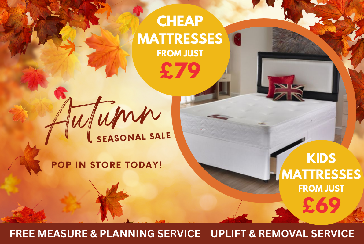 Autumn FX Mobile Banner Template 20 Floor Express