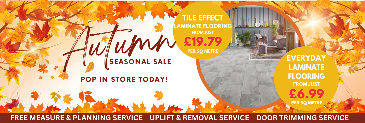 Copy of Autumn FX Desktop Banner Template 14 Floor Express