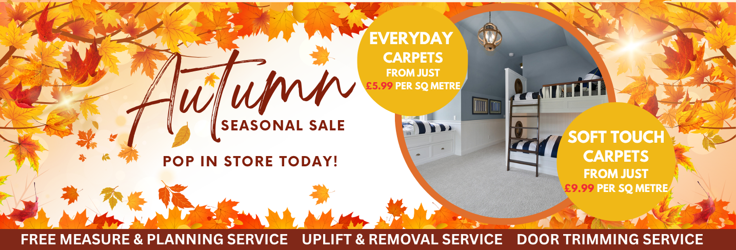 Copy of Autumn FX Desktop Banner Template 2 1 Floor Express