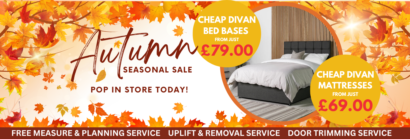 Copy of Autumn FX Desktop Banner Template 2 2 Floor Express