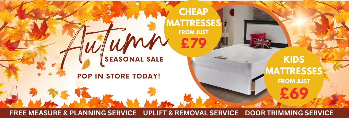 Copy of Autumn FX Desktop Banner Template 20 Floor Express